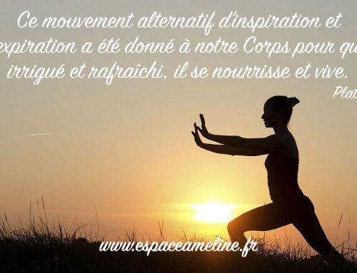 Bien vieillir avec le Qi Gong pour renforcer son autonomie